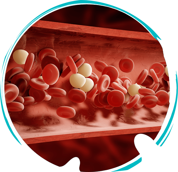 blood cells graphic