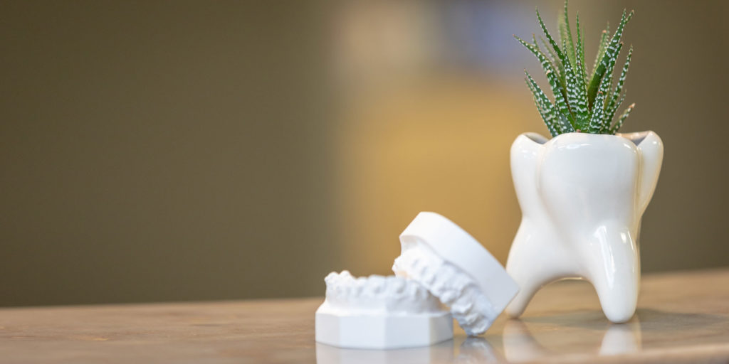 dental model